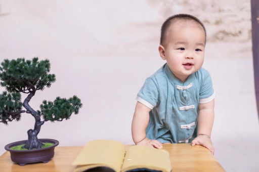 七台河可爱的企鹅宝宝